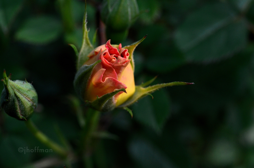 20110519_70