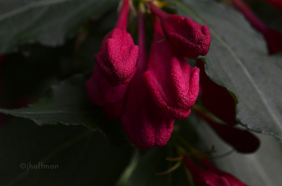 20110519_99