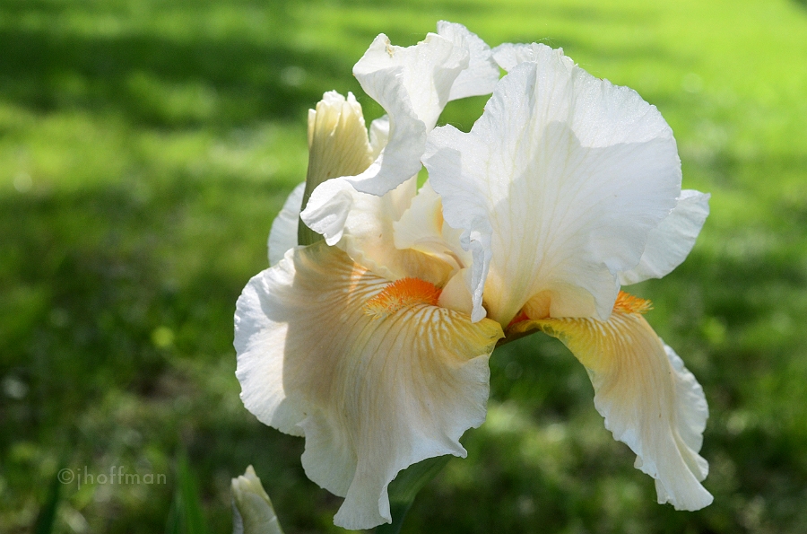 20110520_228
