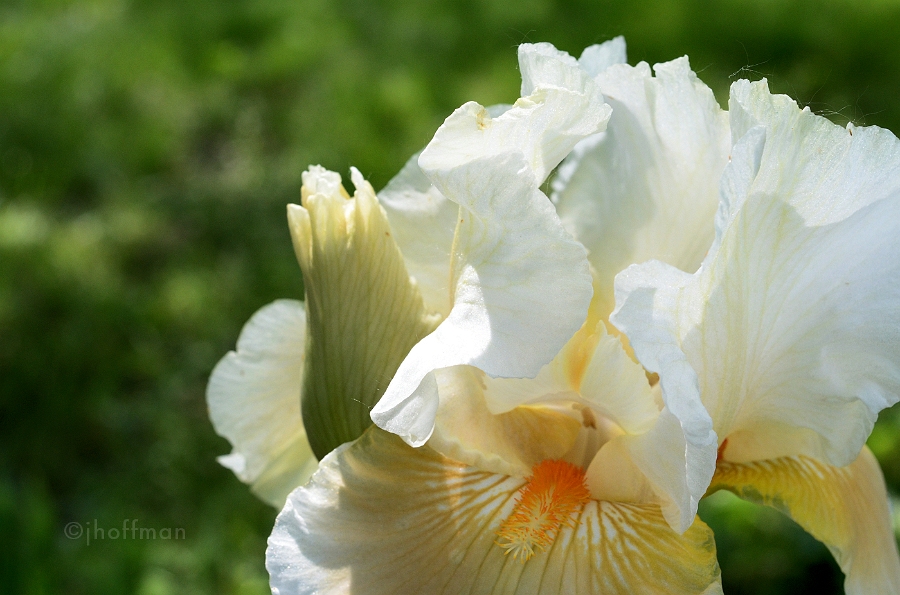 20110520_235