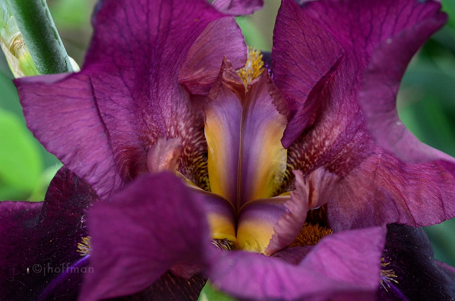 20110520_260