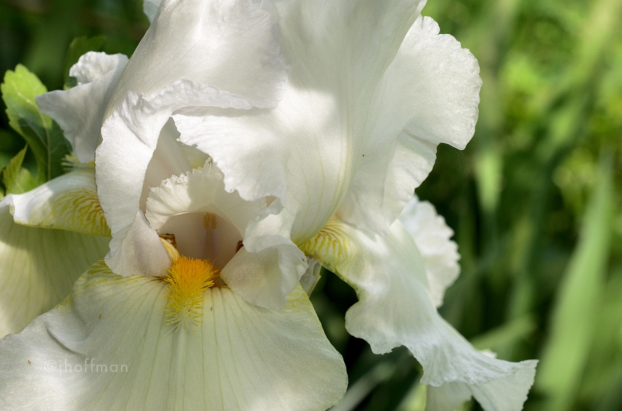 20110520_280