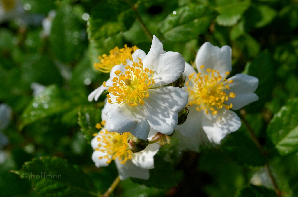 20110523_156