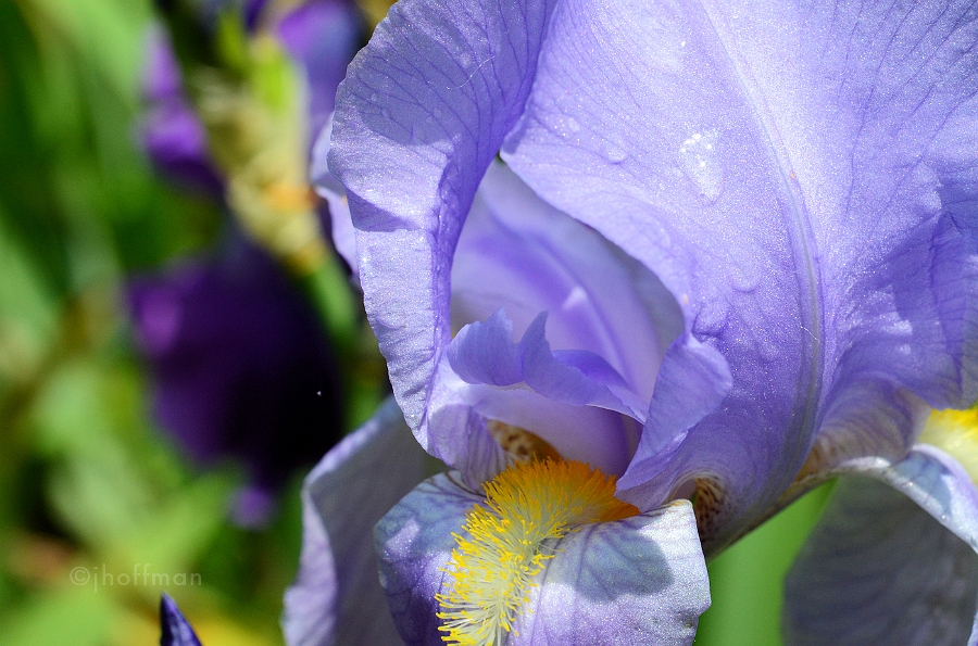 20110523_302