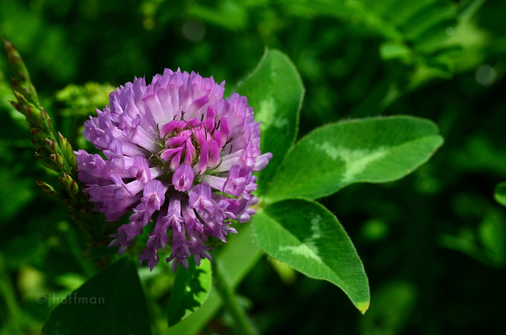20110523_400
