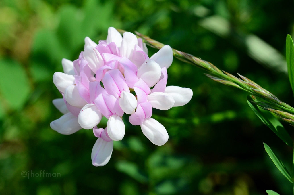 20110523_404