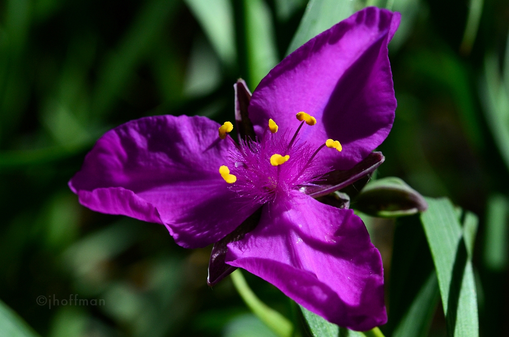 20110523_482