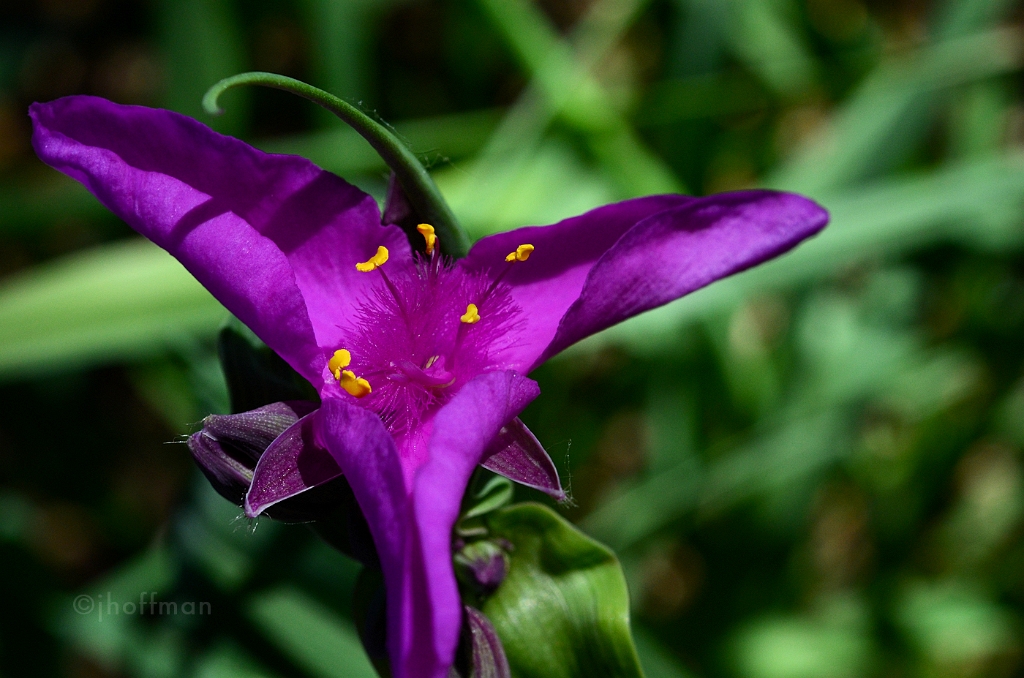 20110523_486