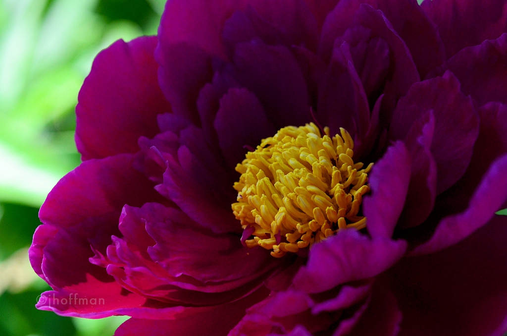 20110523_504