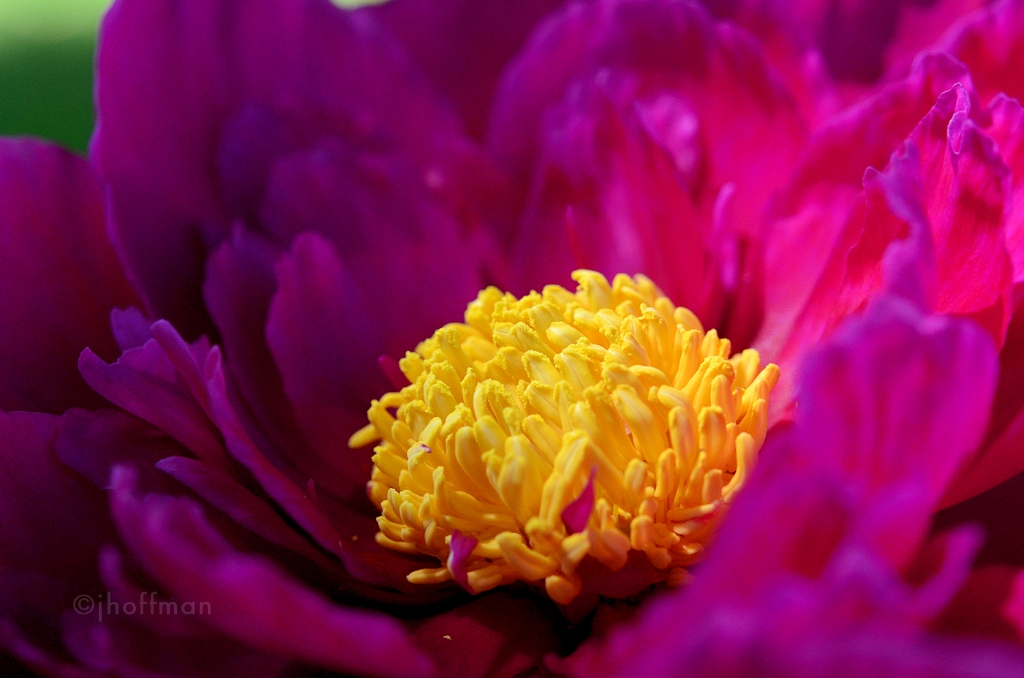20110523_508