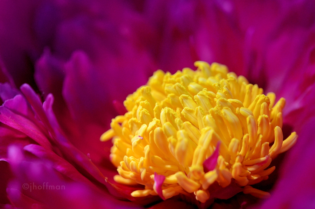 20110523_511