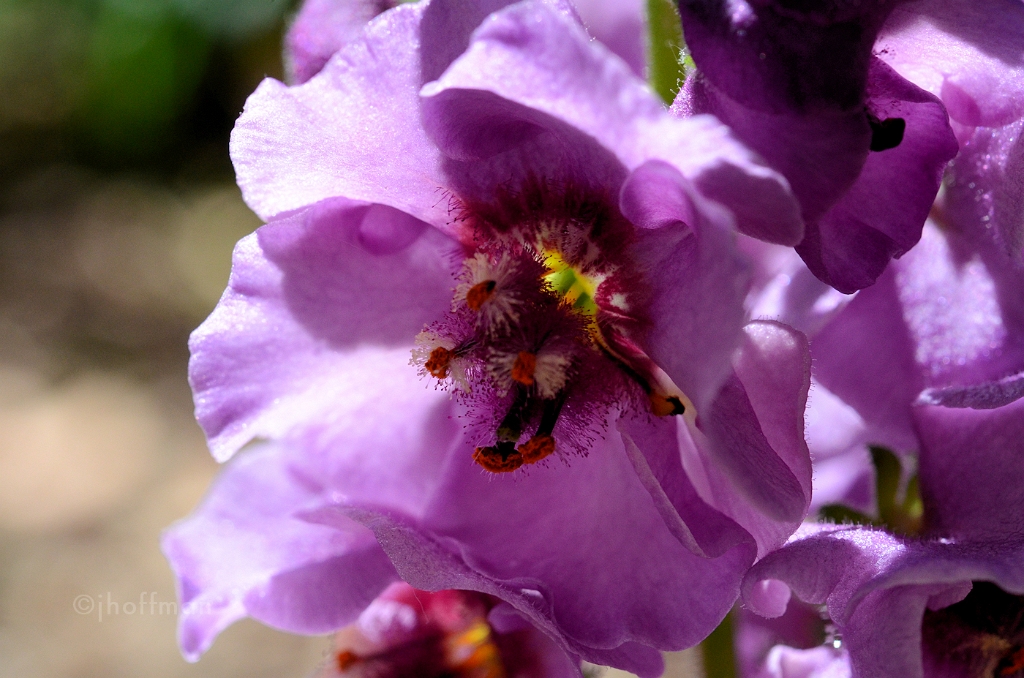 20110523_516