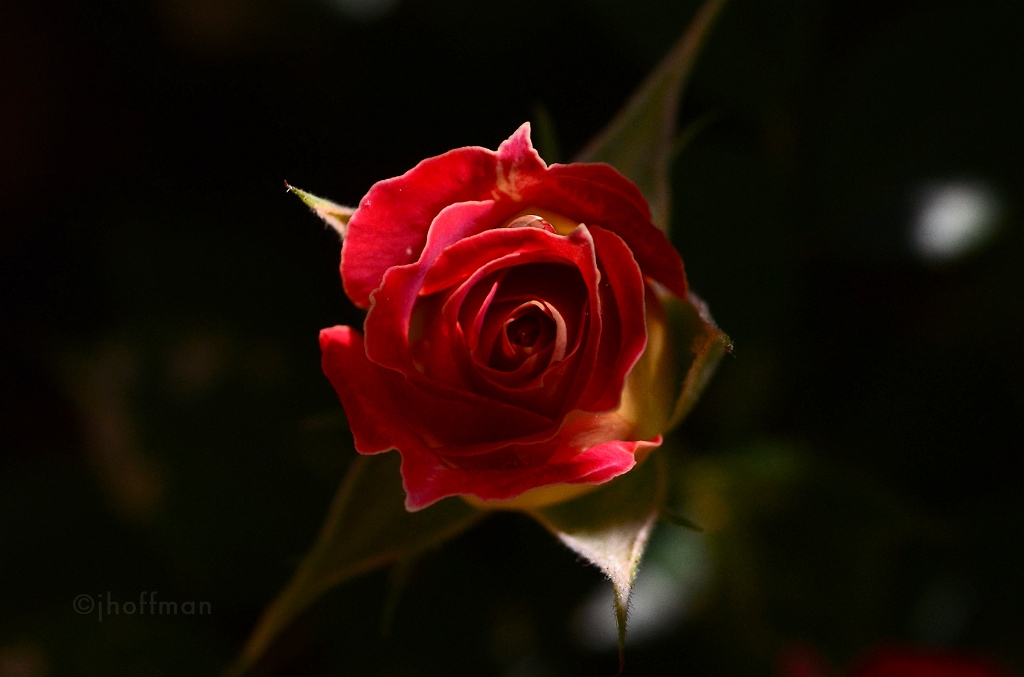 20110523_548