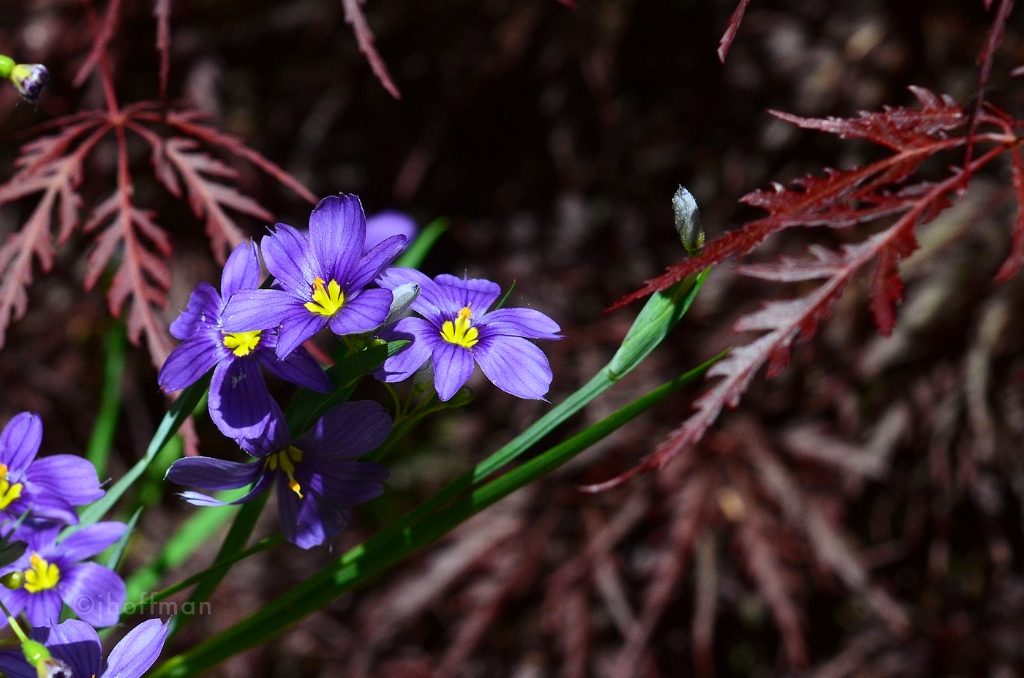 20110523_552