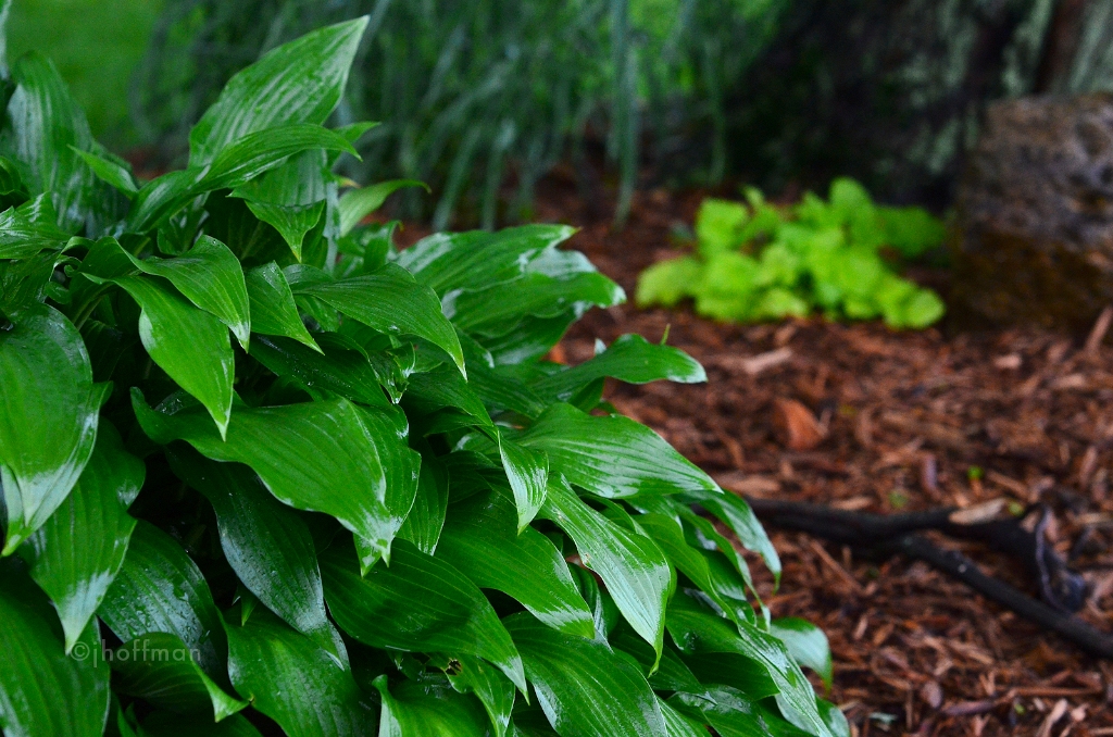 20110526_44