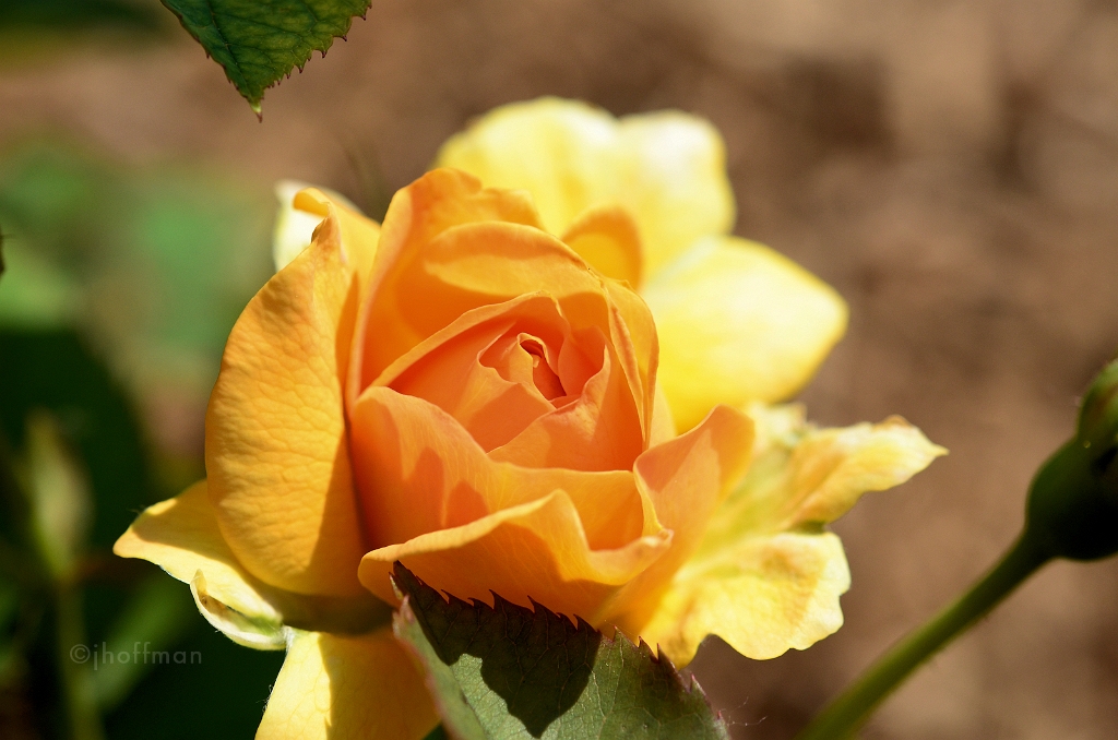 20110529_180