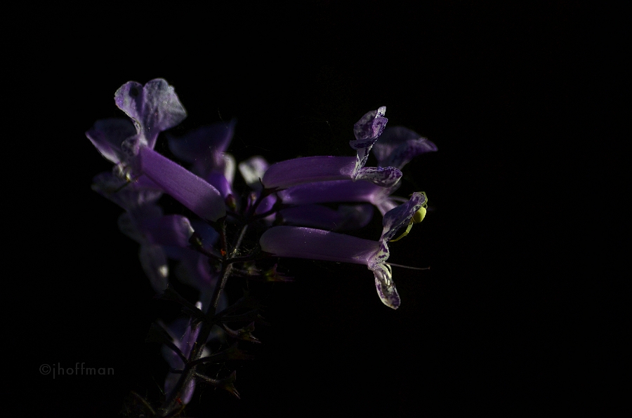 20110530_156
