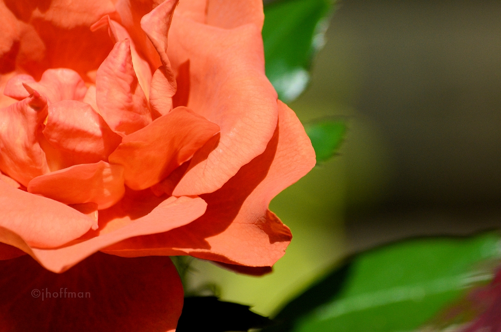 20110530_242