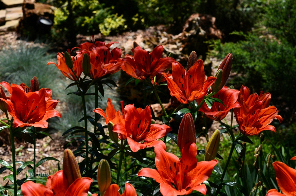 20110530_514