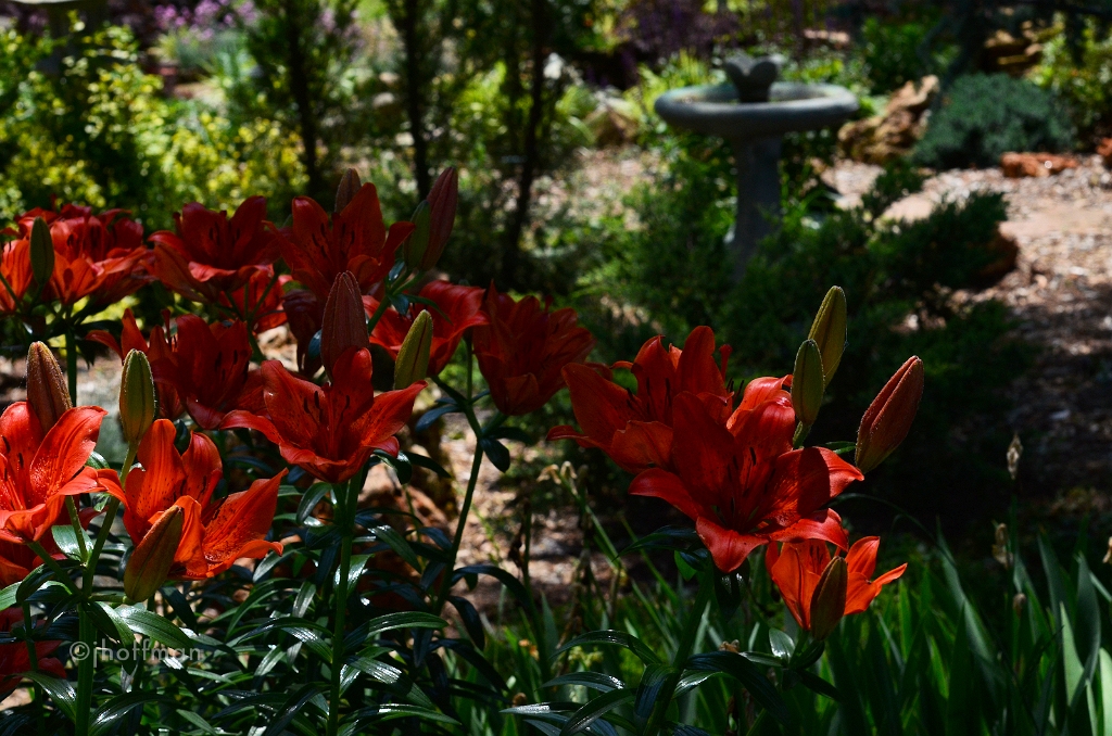 20110530_516