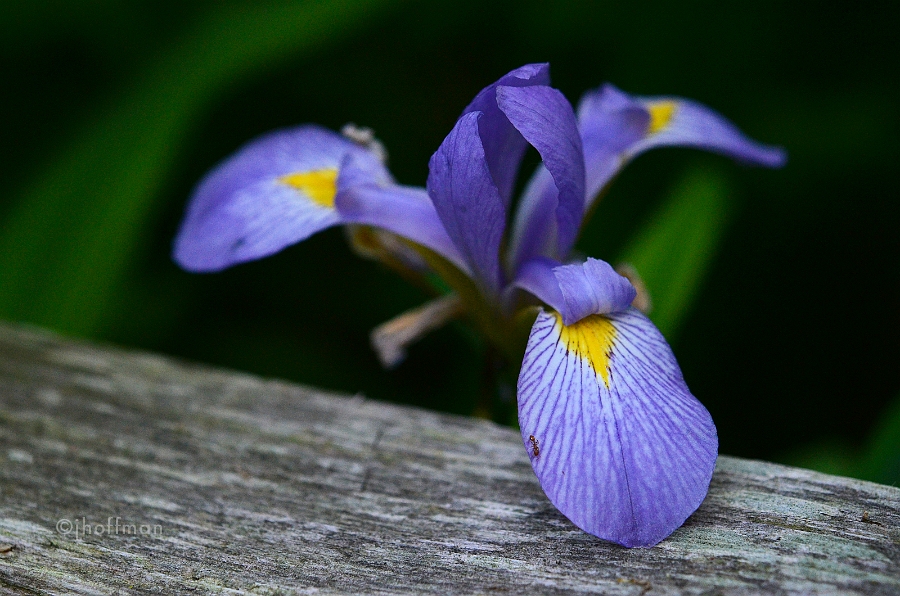 20110530_586