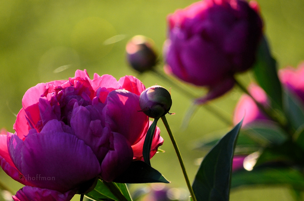 20110530_64