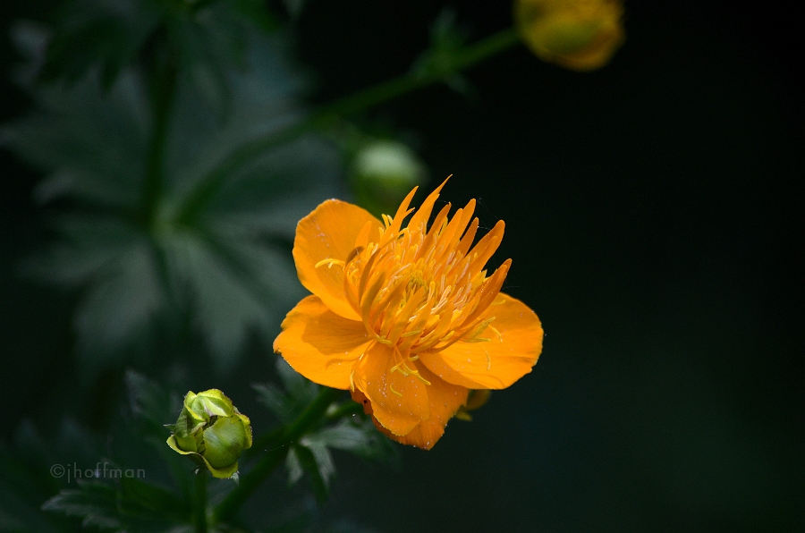 20110603_16