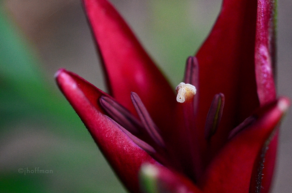 20110607_53