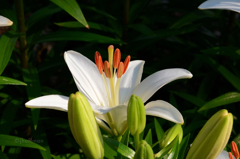 20110608_26