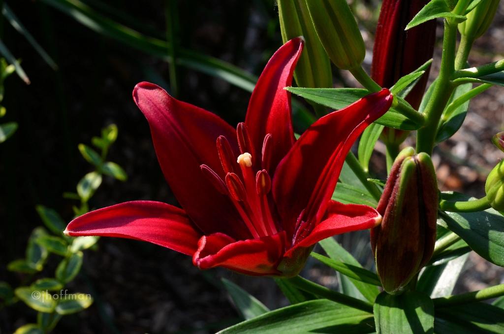 20110608_6