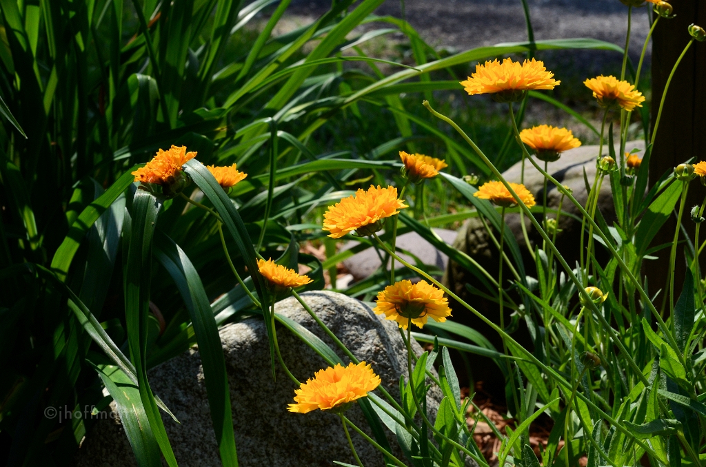 20110609_22
