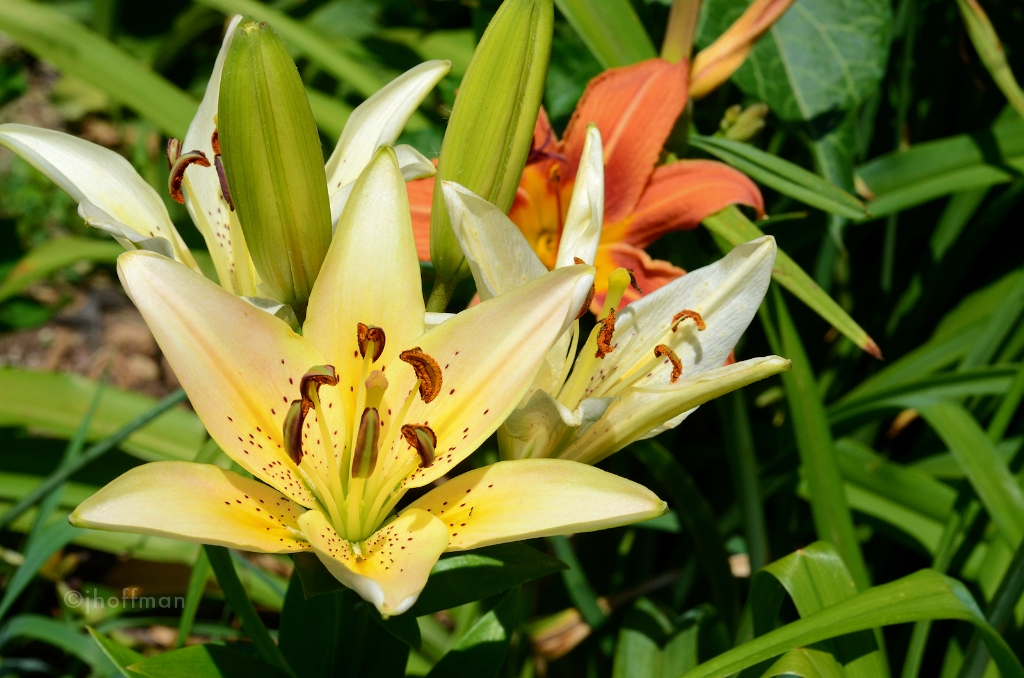 20110613_247