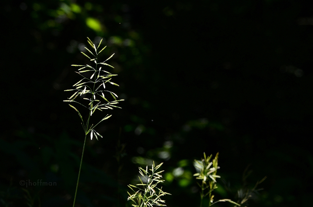 20110613_271