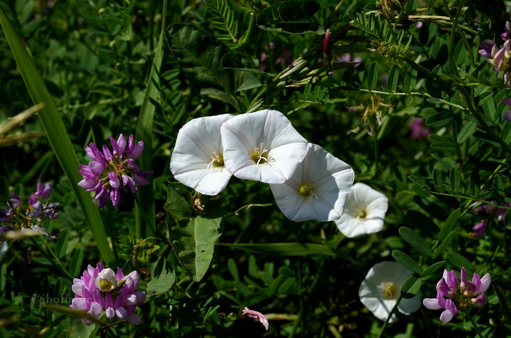 20110613_306