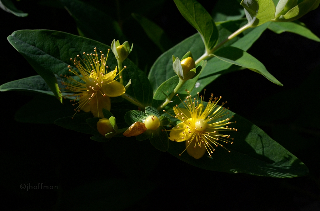 20110613_68