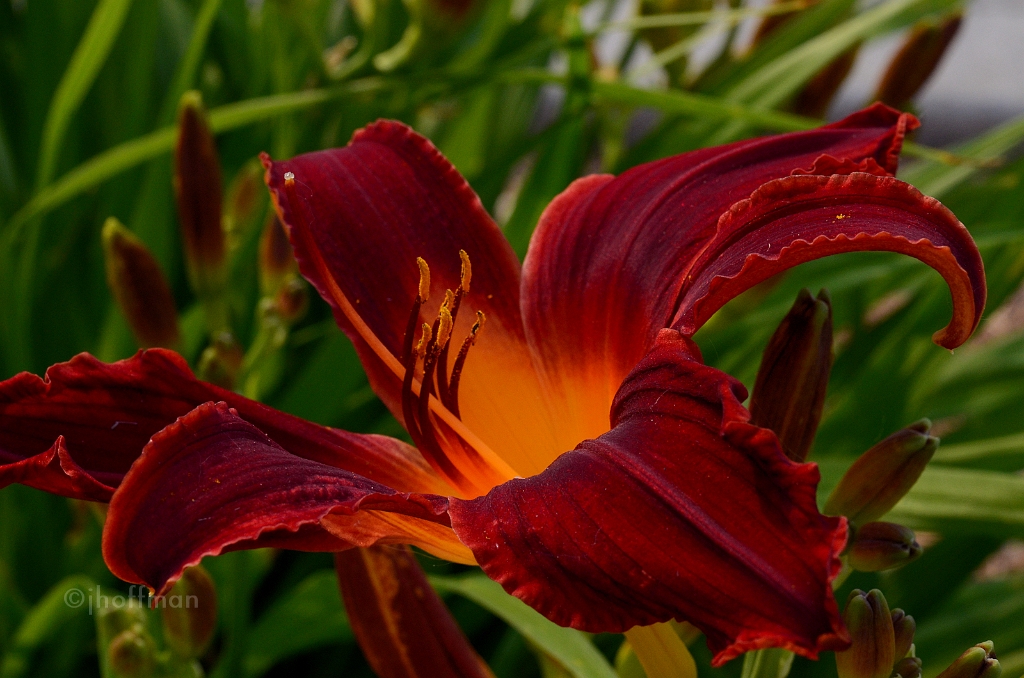 20110614_133