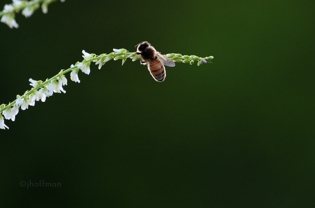20110614_165
