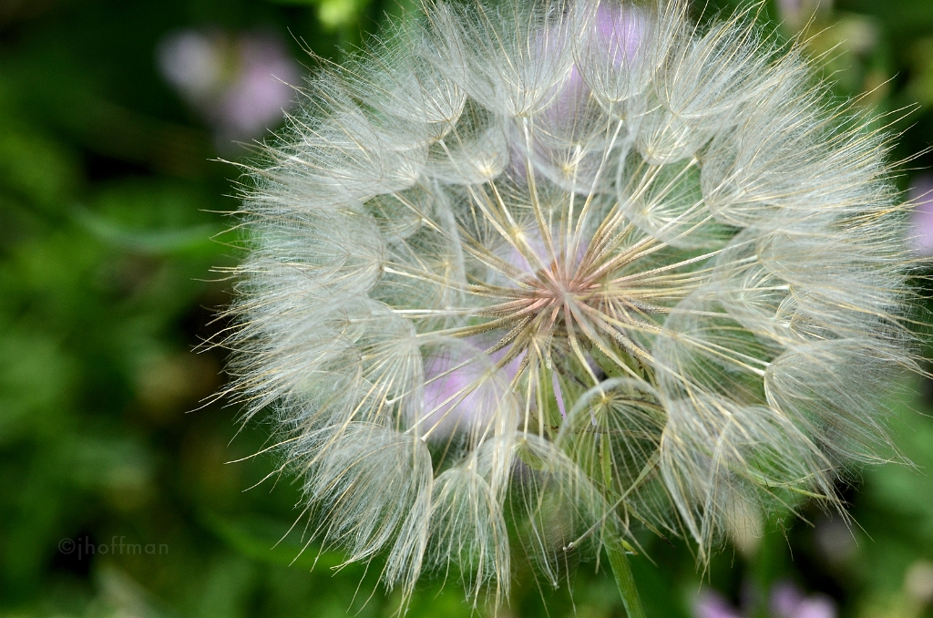 20110614_75