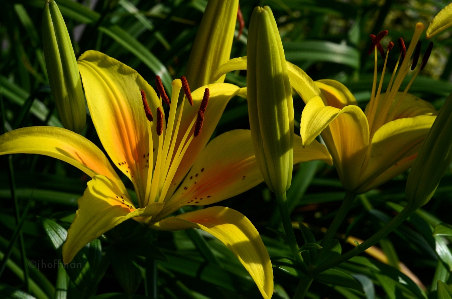 20110621_21