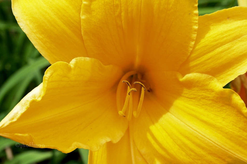20110621_64