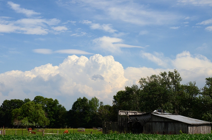 20110622_7