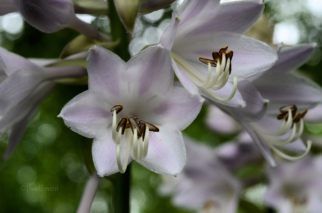 20110624_24