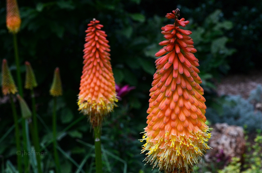 20110624_5