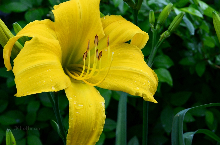 20110626_38
