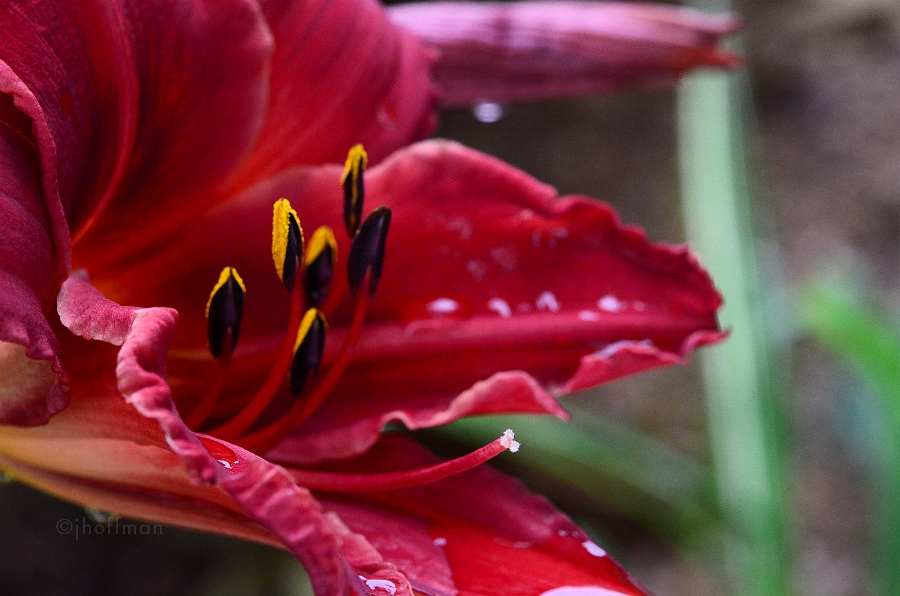 20110626_49