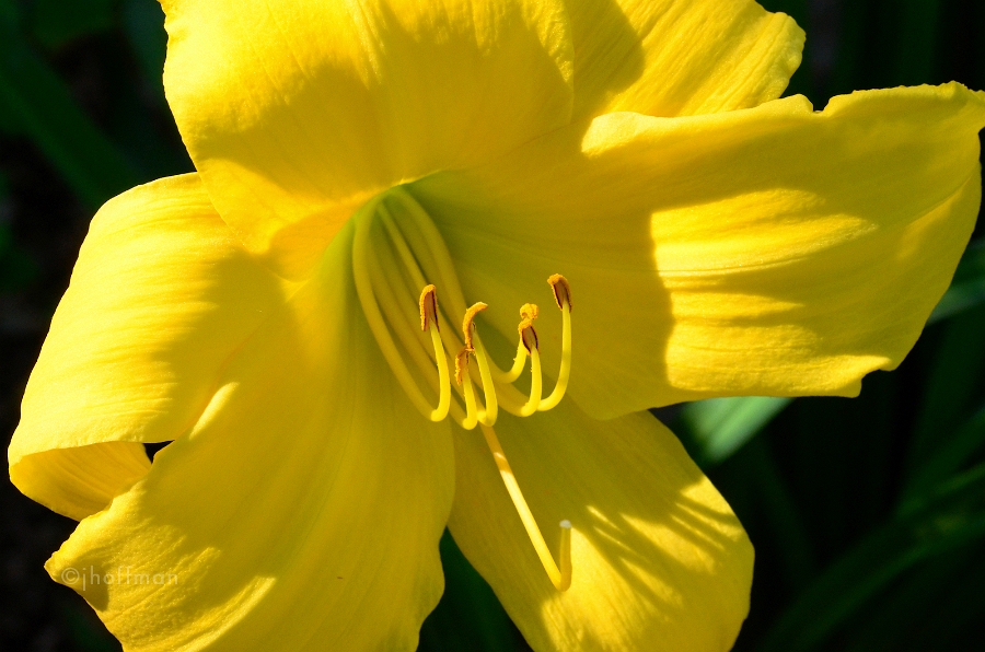 20110629_10