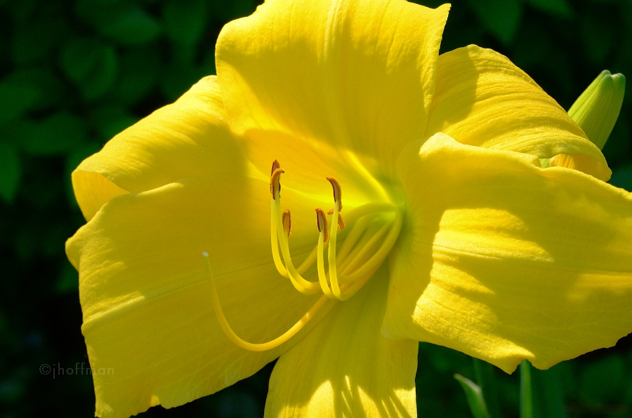 20110629_13
