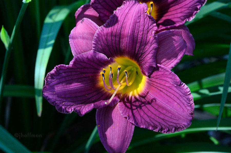 20110629_15