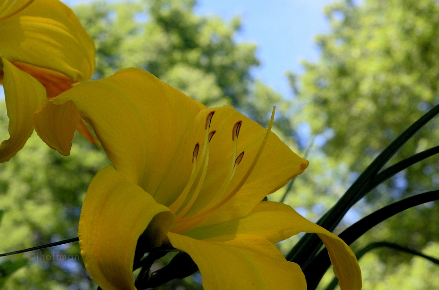 20110629_44