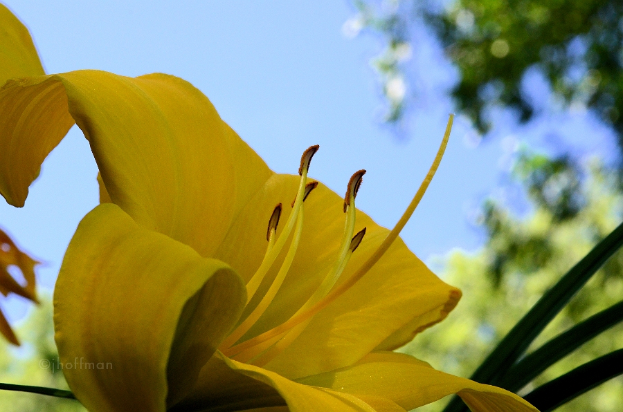 20110629_45